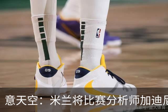 意天空：米兰将比赛分析师加迪尼尔提拔为球探主管