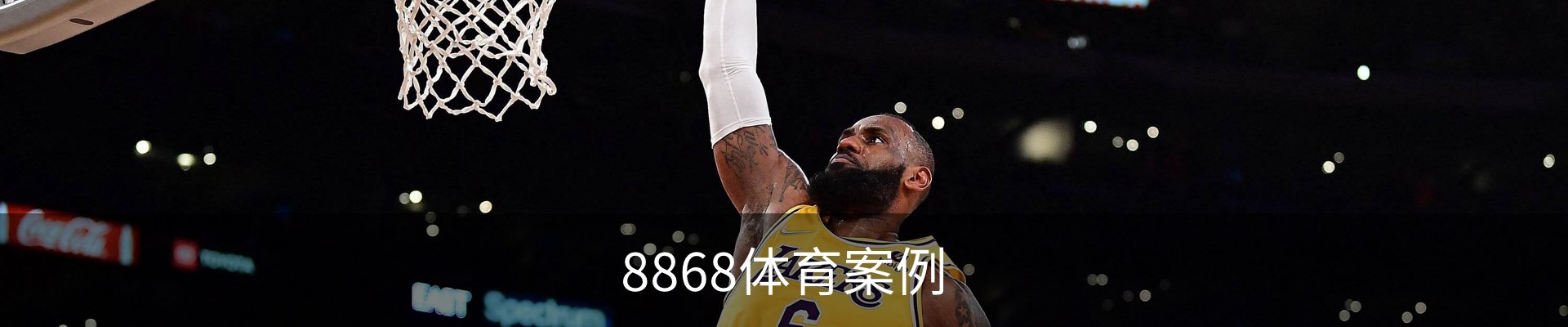 8868体育案例